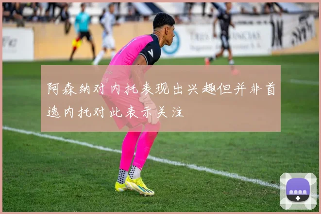 阿森纳对内托表现出兴趣但并非首选内托对此表示关注